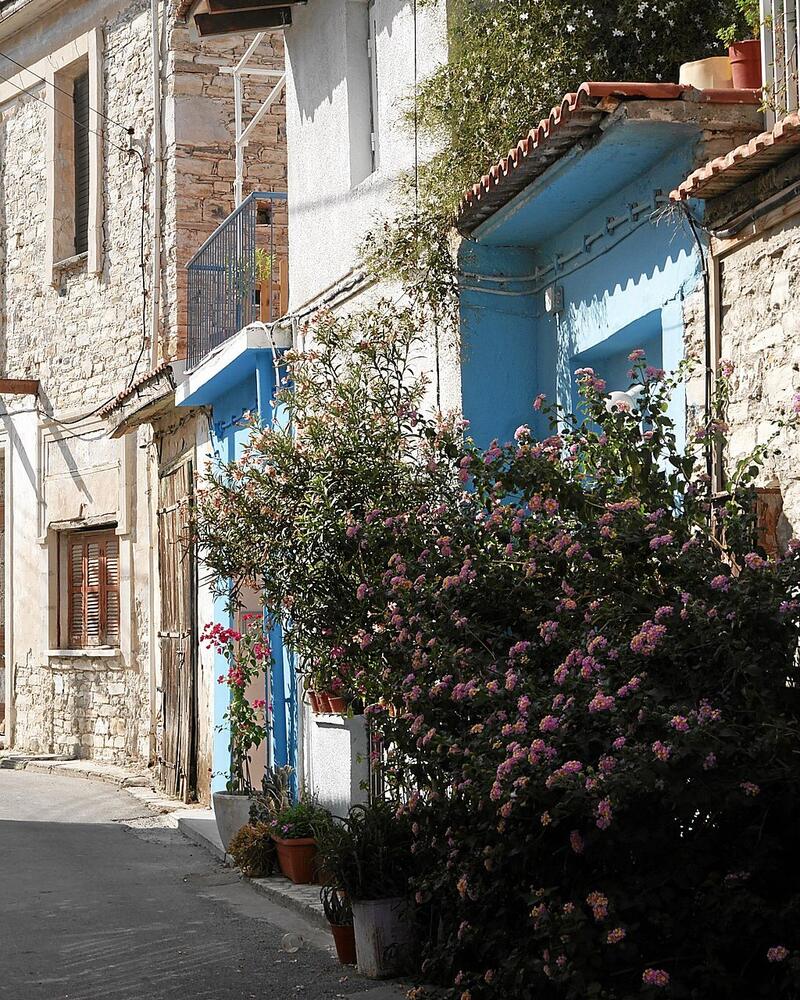 A quiet street of stone village houses with blue painted woodwork and flowering shrubs in Pano Lefkara